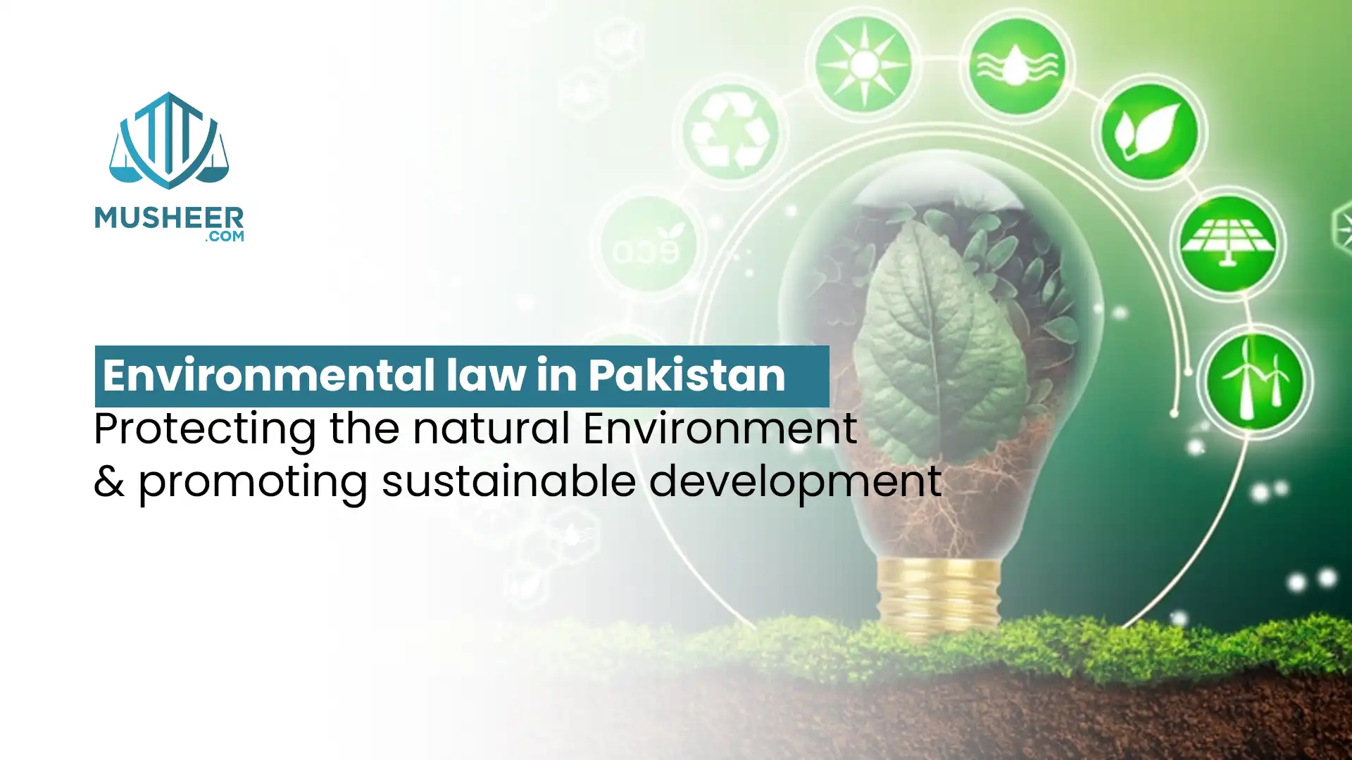 Environmental Law in Pakistan Protecting the Natural Environment and Promoting Sustainable Development